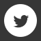 Follow Us On Twitter