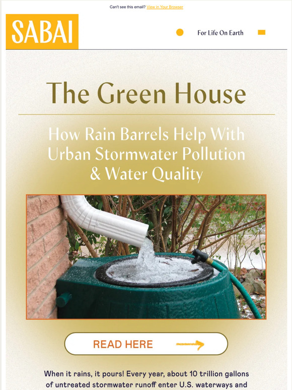 Sabai Design How Rain Barrels Help With Urban Stormwater Pollution