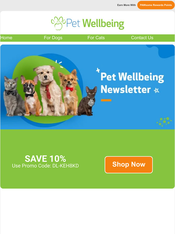 Pet Wellbeing How to Put Your Pet on a Detox (and Why They’ll Thank