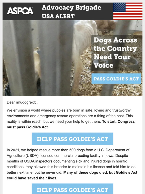 —, Help Pass Goldie’s Act!