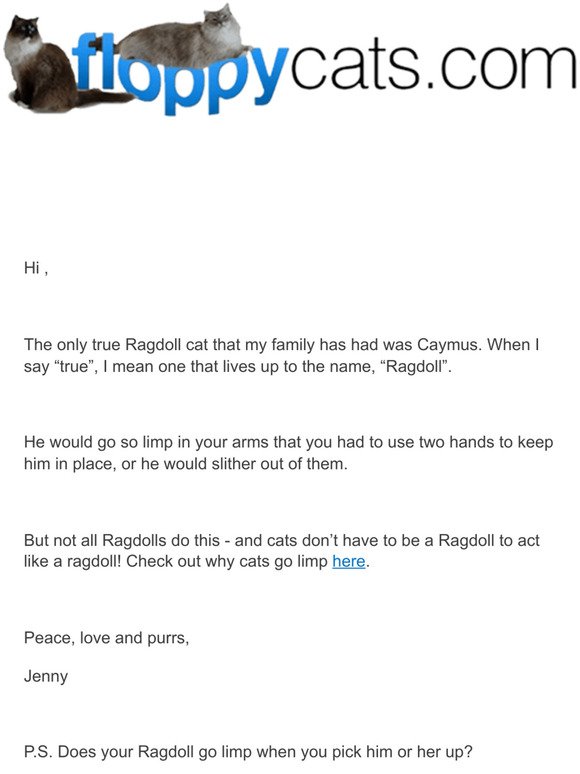 😻 Why are Ragdolls known as Ragdolls?