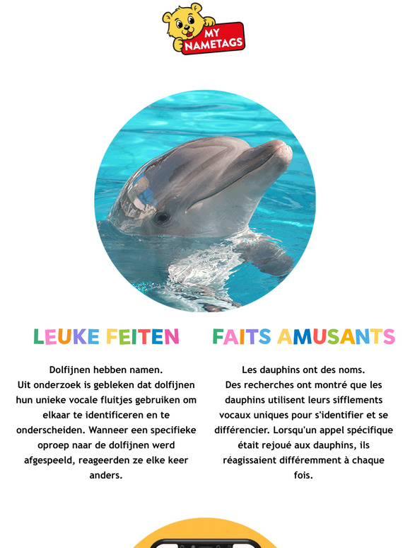 De Lente is terug! | Le printemps est de retour!