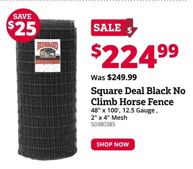 Red Brand Square Deal® Black Non-Climb Horse Fence 48" 12.5 Gauge 100