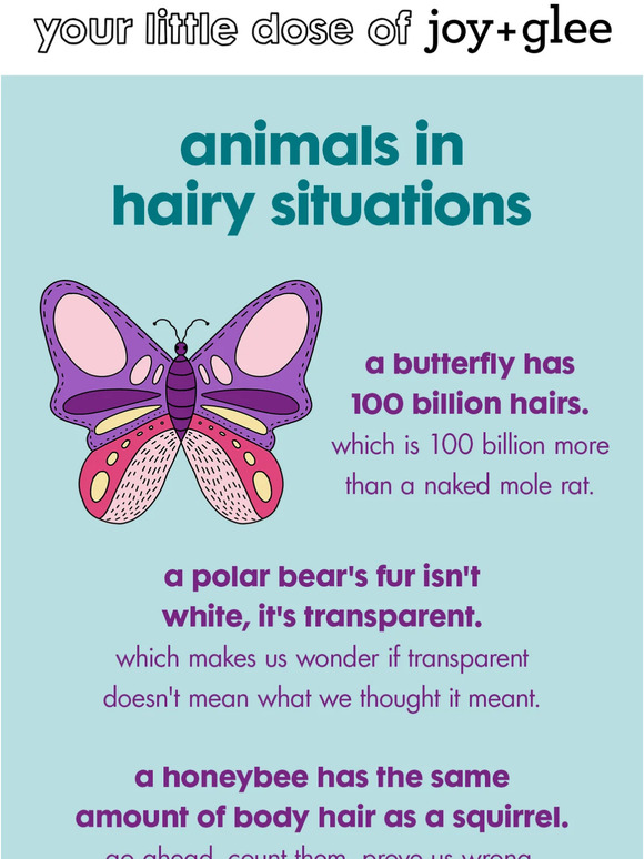 bears, bees, and butterflies