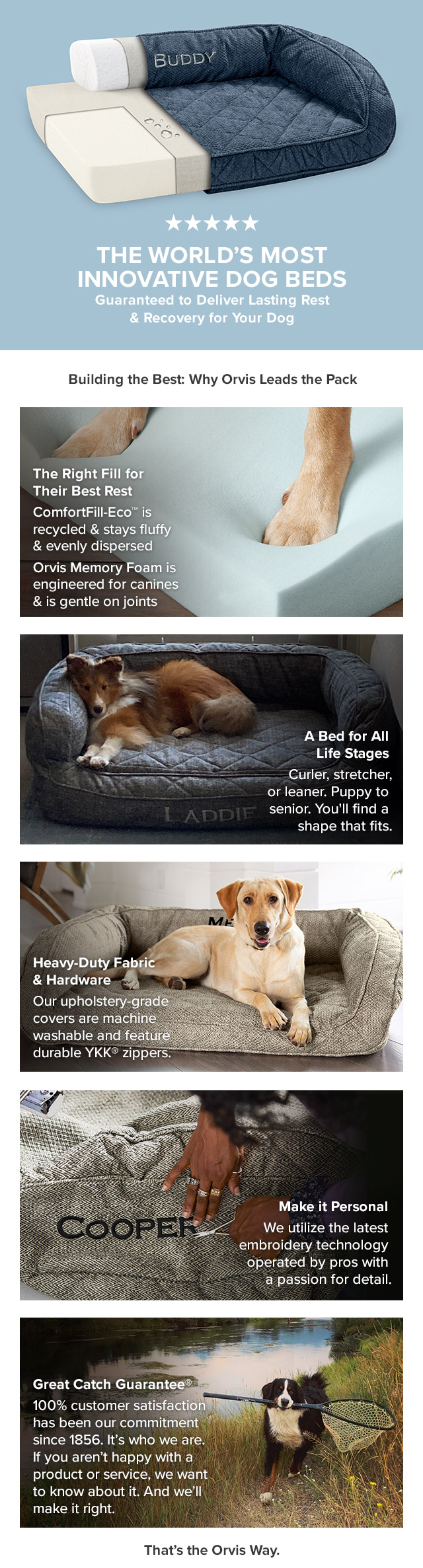 Orvis We've been building the world's best dog beds for more than 40