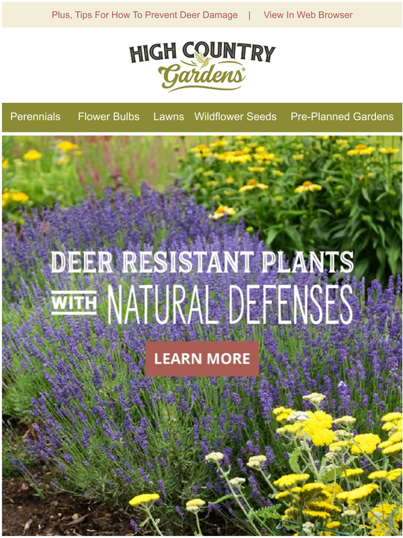 High Country Gardens DeerResistant Plants With Natural Defenses Milled