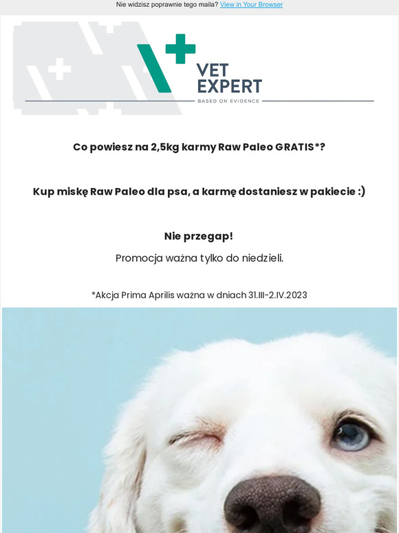 ✅ KARMA GRATIS przy zakupie miski