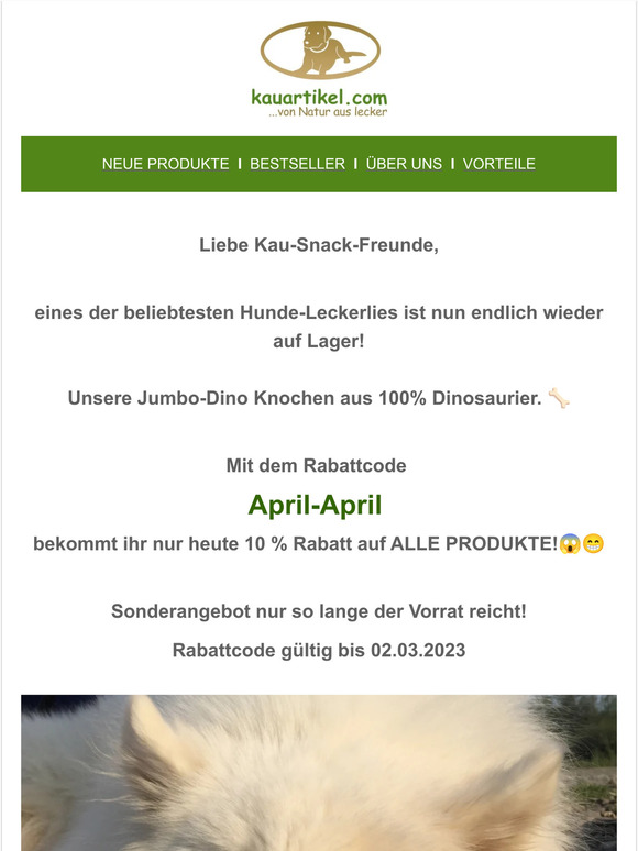 10% Rabatt auf ALLES bei Kauartikel.com - Das ist kein April Scherz