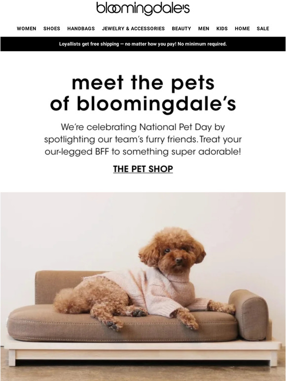 Bloomingdale's Attn Dogs & cats inside Milled