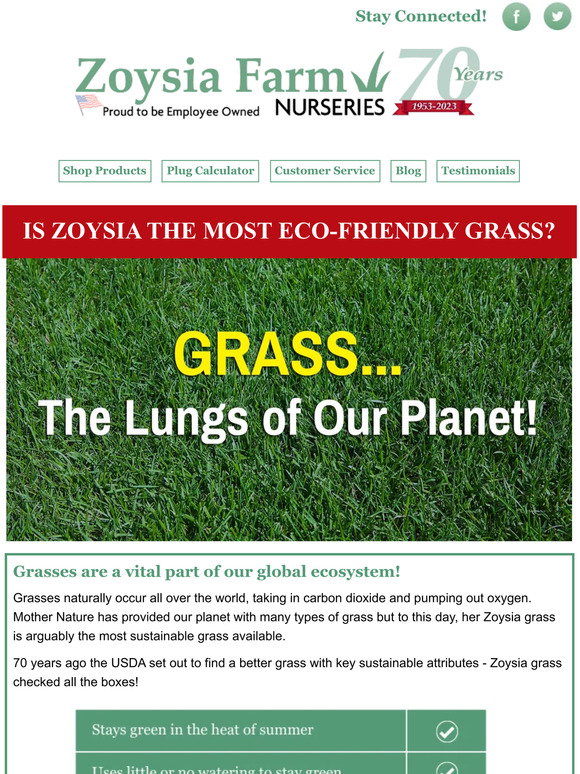 Zoysia Farms Get 50 Savings on EcoFriendly Zoysia Grass Milled