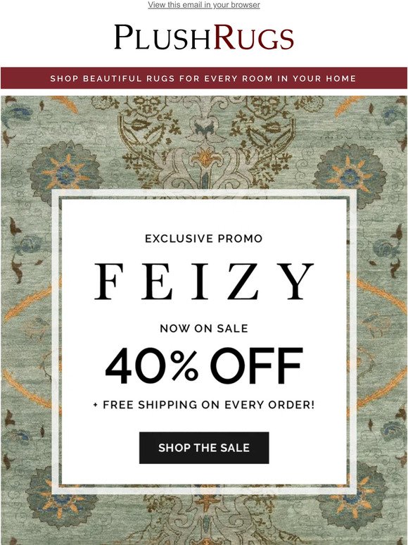 Spring Sale Alert: 40% Off Feizy Rugs for a Limited Time