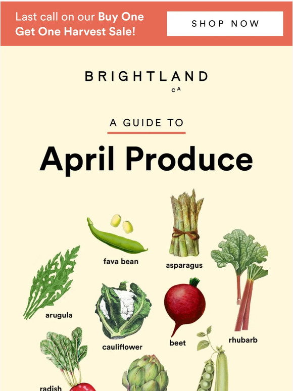 Brightland Your Guide to April Produce Milled