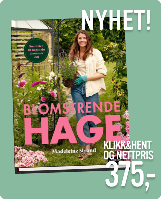 Blomstrende hage 375kr