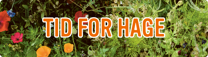 Tid for hage