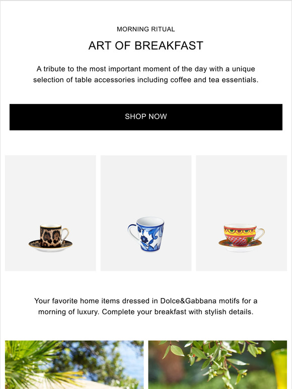 Dolce & Gabbana Email Newsletters: Shop Sales, Discounts, and Coupon Codes