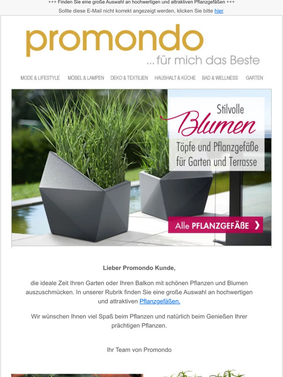 Stillvolle Blumen Töpfe und Pflanzgefäße