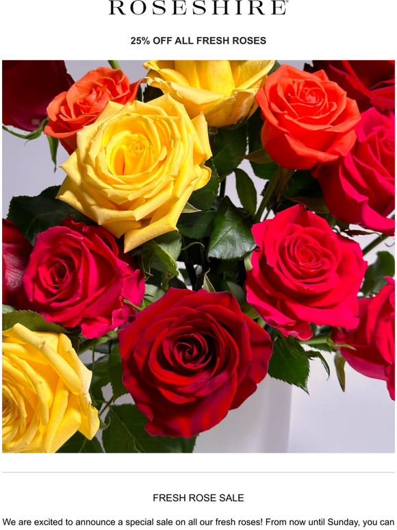 Fresh Rose Sale - 25% Off All Colors and Sizes