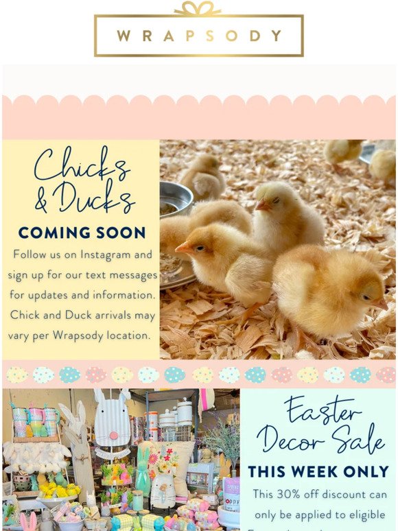 Chicks, Ducks, Discounts...OH MY!