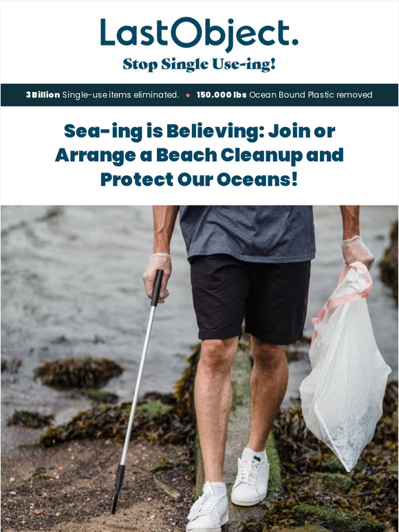Sea-ing is Believing: Join or Arrange a Beach Cleanup and Protect Our Oceans!