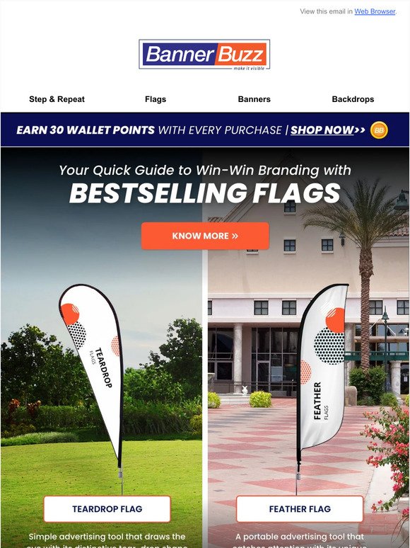 ⛳2 Most Effective Advertising Flags to Shop