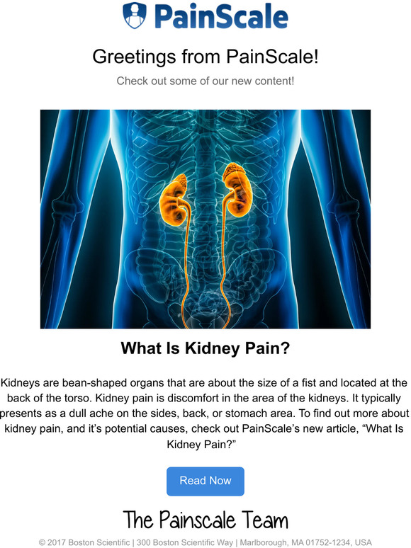 PainScale What Is Kidney Pain? Milled