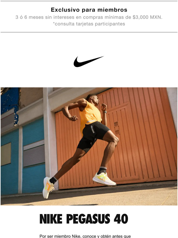 Nike Pegasus 40