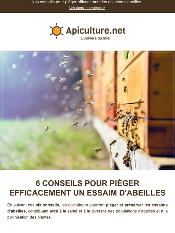 6 astuces pour piéger un essaim 🐝