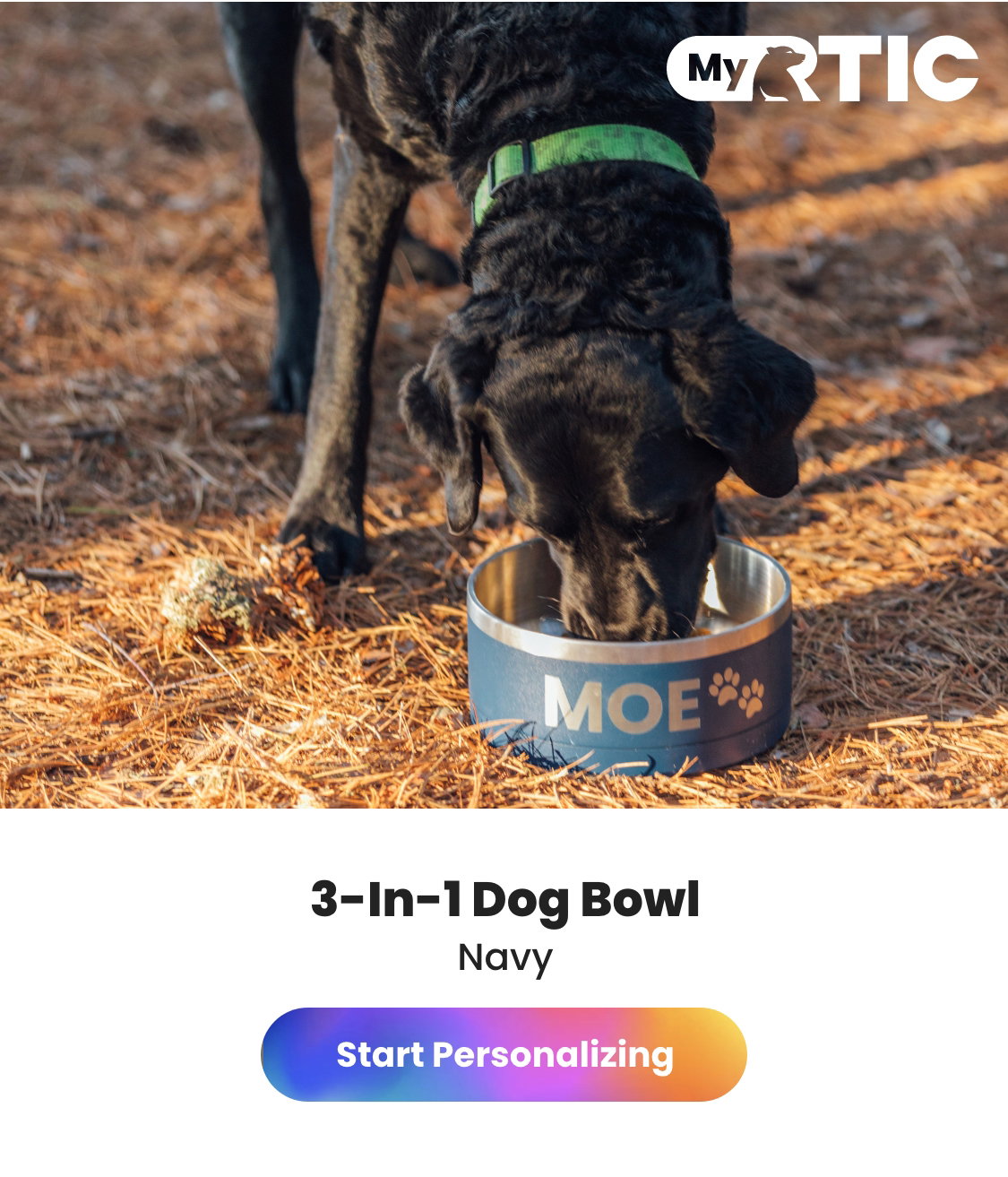 Dog Bowl