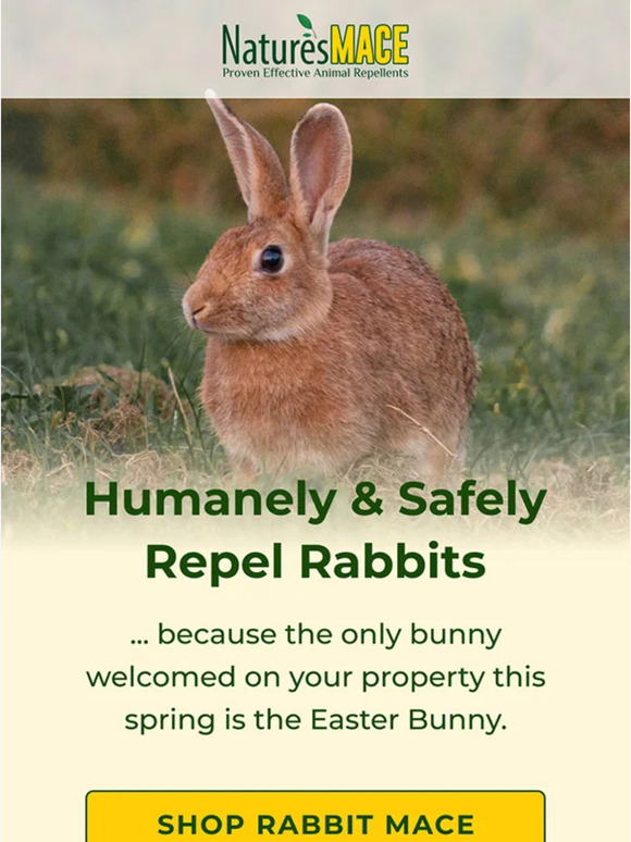 Nature's Mace Repel Rabbits Milled