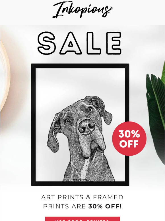 🐾 Get your paws on some Prints for 30% off! 🐾