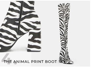 Zebra Boot