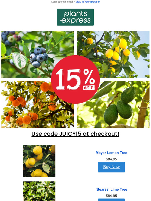 🍋 15% Off Fruit & Citrus Trees