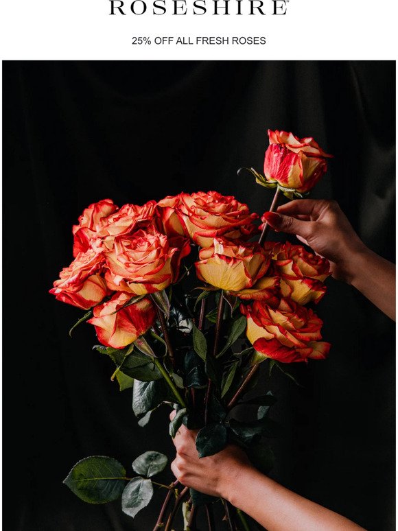 Last Day - Save 25% Off Roses