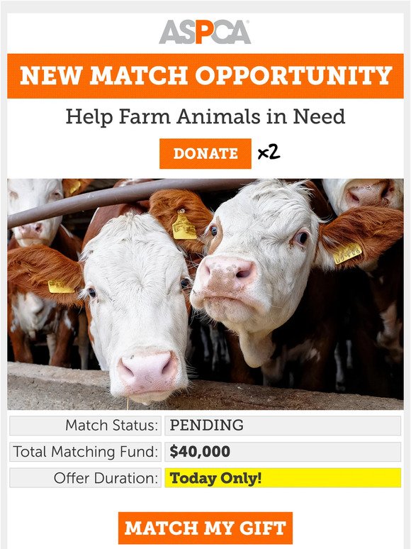 Suffering Animals Need You! (Match Your Gift)