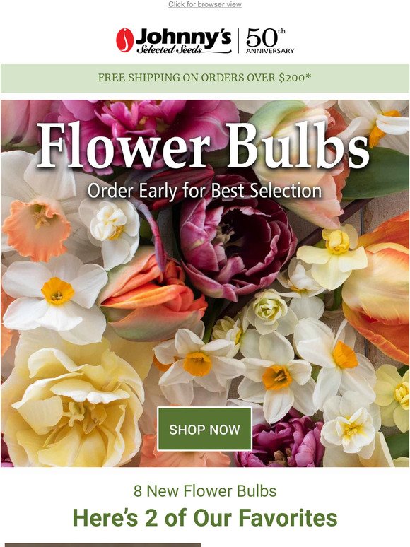 New Tulips & Narcissus Available for Early Ordering!