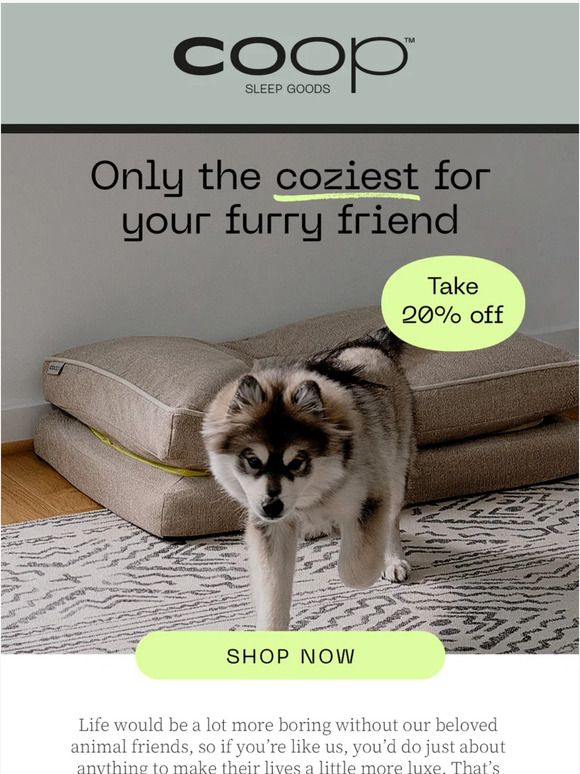 Save 20% for National Pet Day