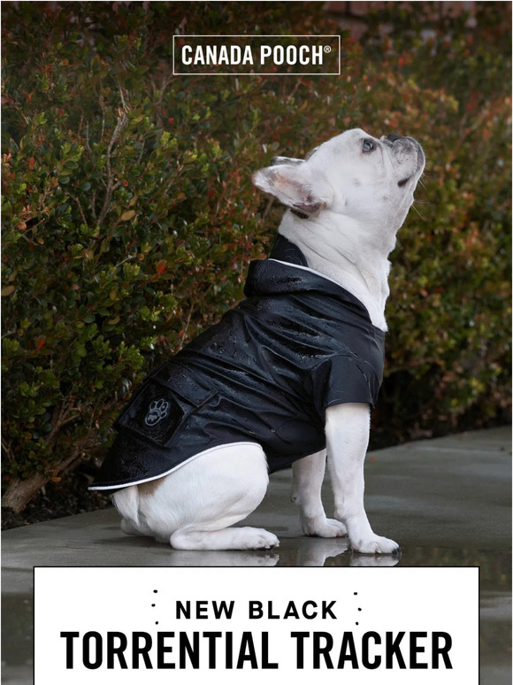 Canada Pooch The iconic raincoat with a stylish twist ☔ Milled