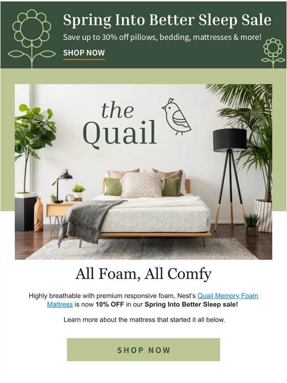 Get Your Birdy Sleep with The Quail