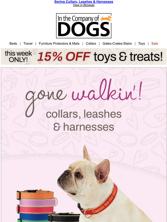 In The Company of Dogs It's Not Ruff Order a New Leash, Collar or