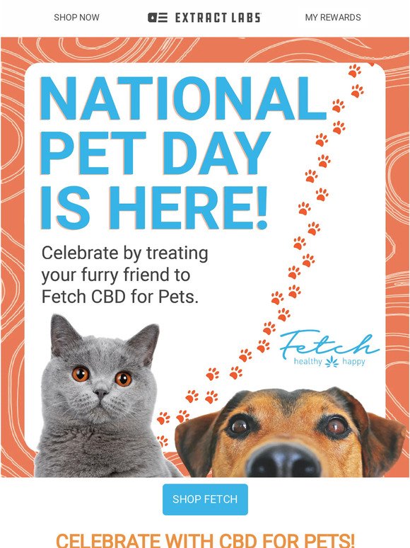 Pawsitively Purrfect🐾 It's National Pet Day!