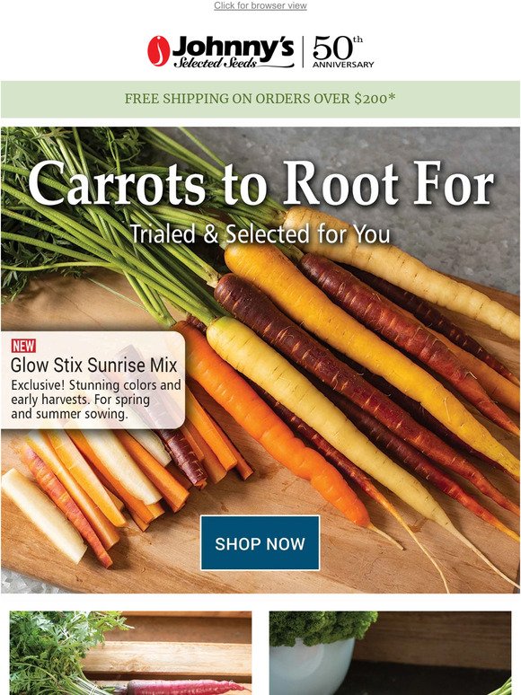 Grow a Rainbow of Carrots!