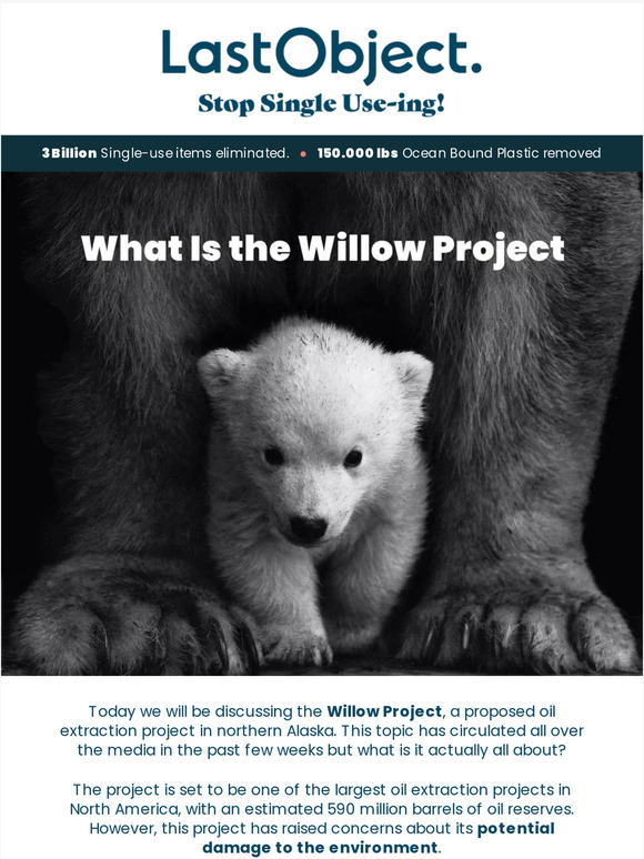 What Is the Willow Project