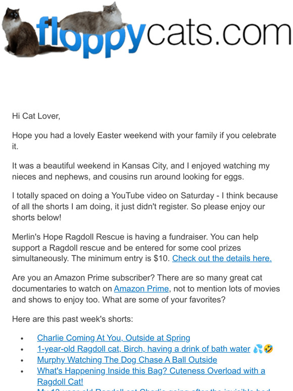 Letting Cats Outside, Catios, Fundraiser Prizes, + More 😻