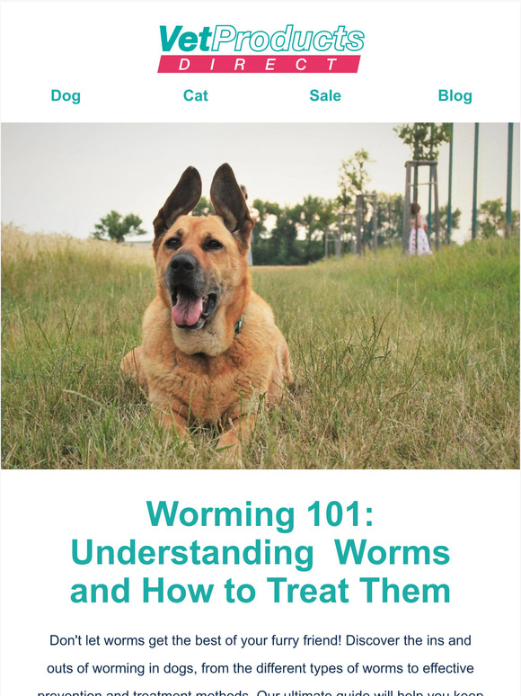 Vet Products Direct Worming 101 Understanding Worms and How to Treat