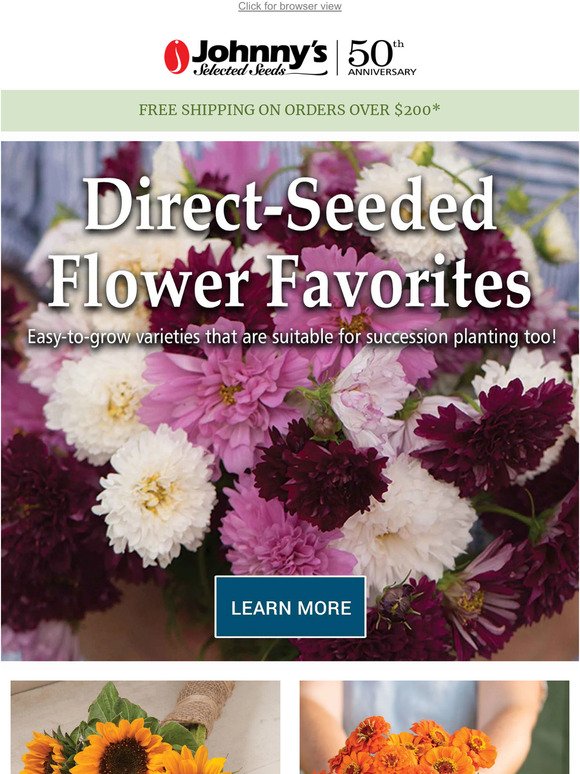 Easy Direct-Seeded Flowers for Your Cutting Garden