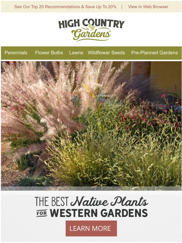 High Country Gardens The Best Native Plants For Western Gardens Milled