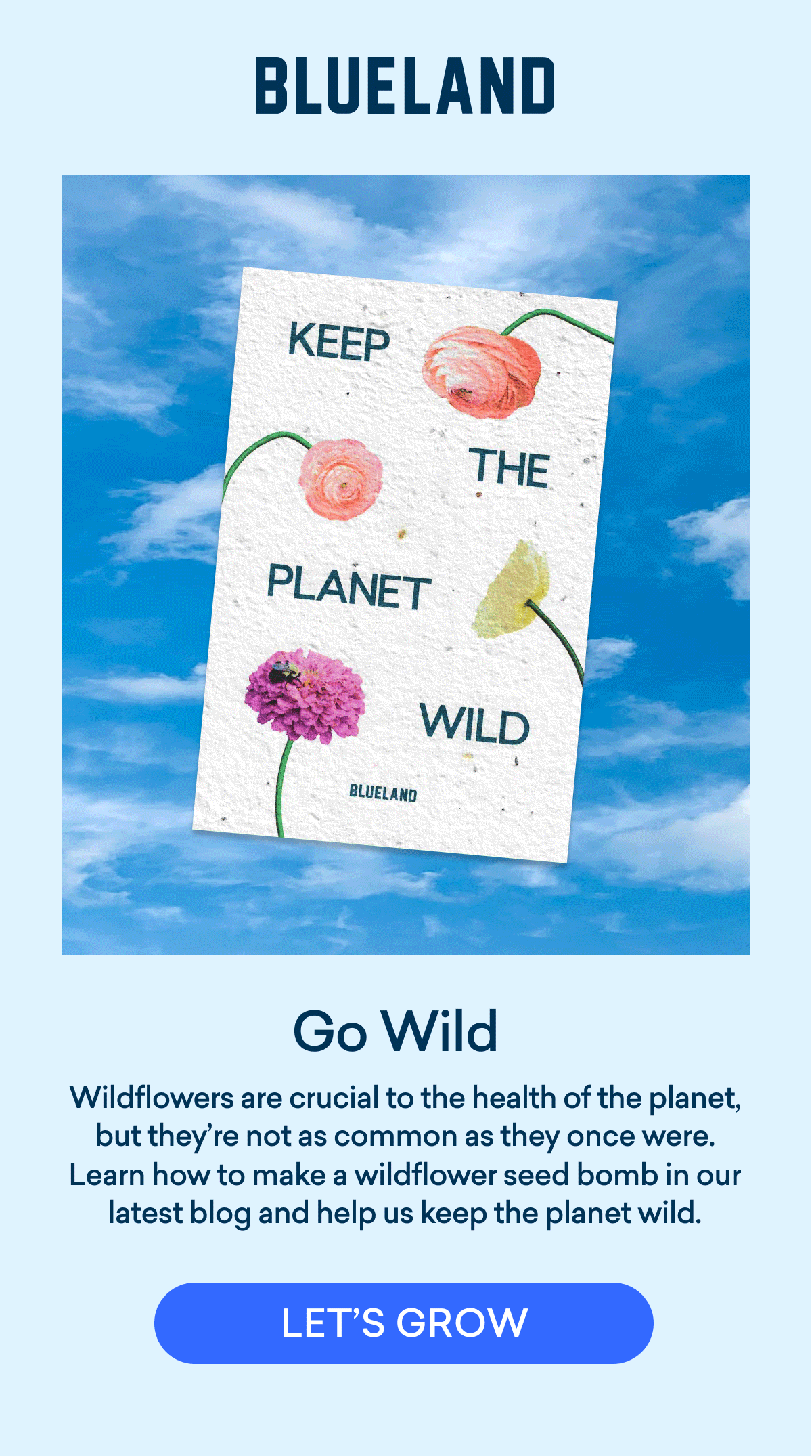 Blueland Where the wildflowers are 🌷🌻 Milled