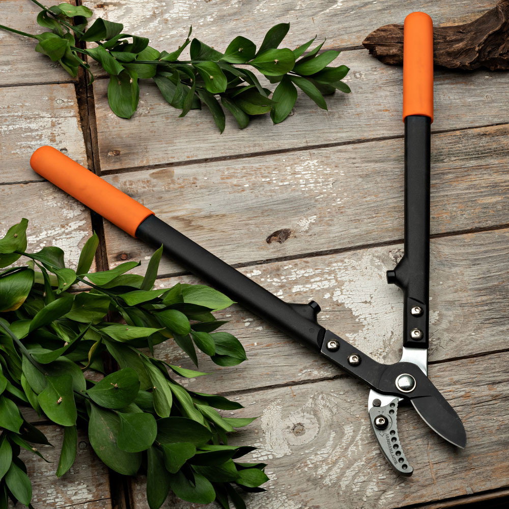 Medium Sized Anvil Lopper