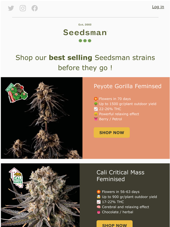 SeedsMan Here are the trending seeds you need 👉 Milled