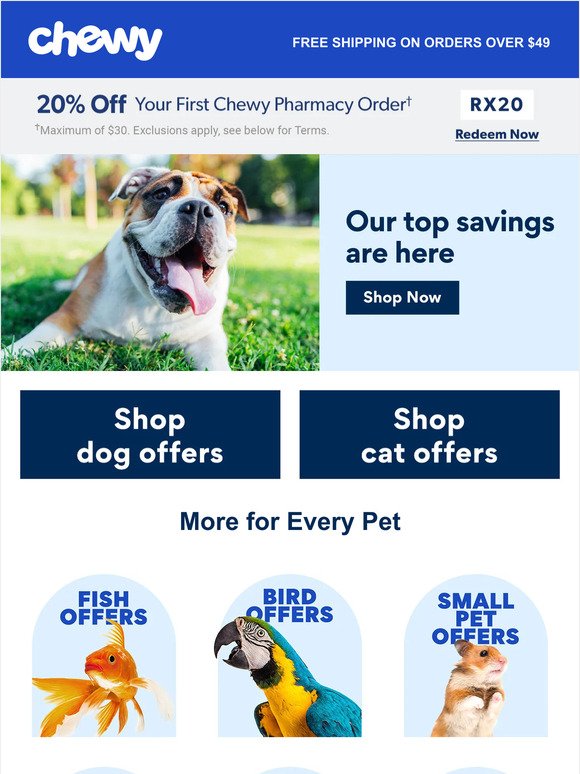 Exclusive Offers For Every Pet